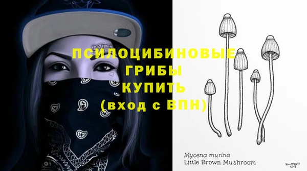 спайс Тавда