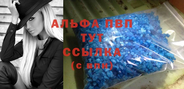 спайс Тавда