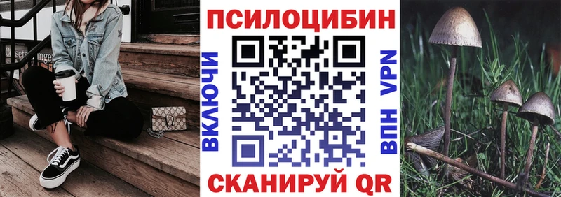 Псилоцибиновые грибы Magic Shrooms  Купить  Фатеж 